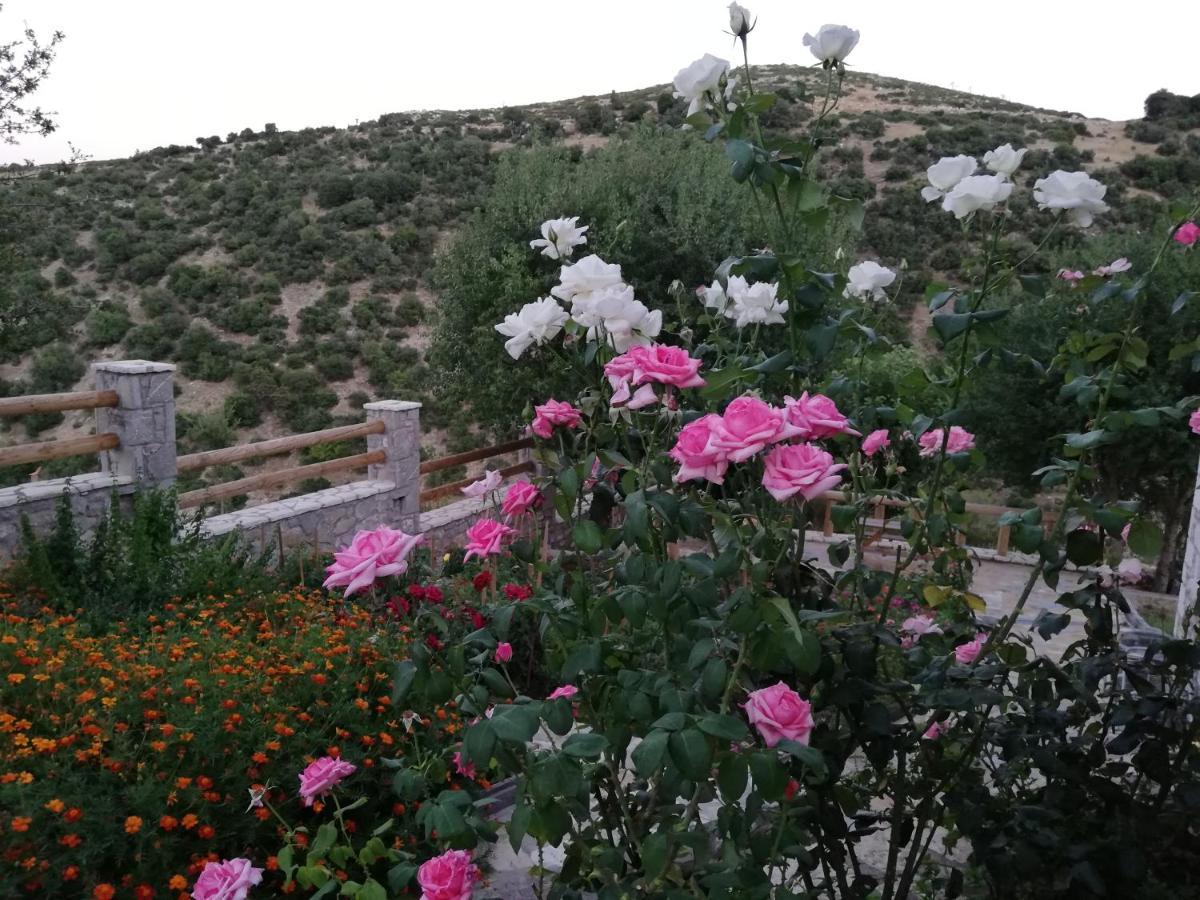 Villa Agno - Βίλα Αγνώ Ano Karies ภายนอก รูปภาพ