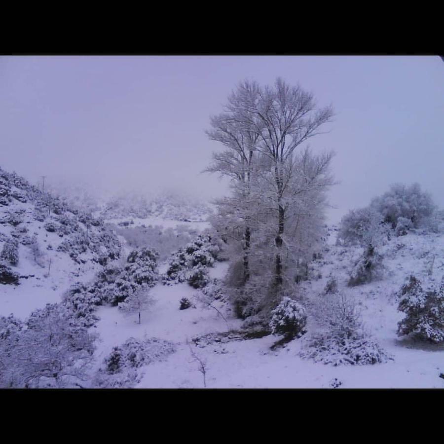 Villa Agno - Βίλα Αγνώ Ano Karies ภายนอก รูปภาพ